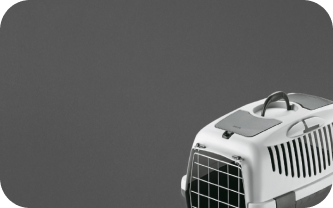 Товары для животных